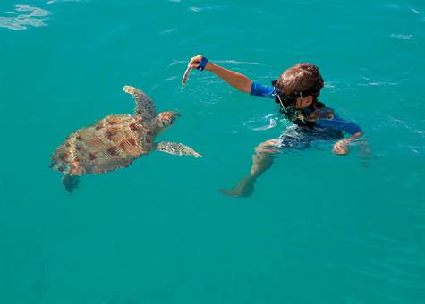 1704016590820_w475h356