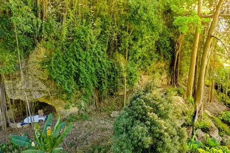 1704016590821_w475h356