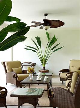 1704017399915_w475h356