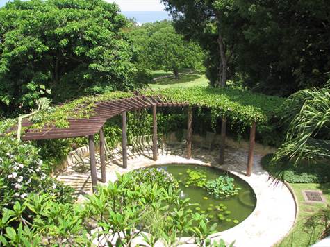 1704017543167_w475h356