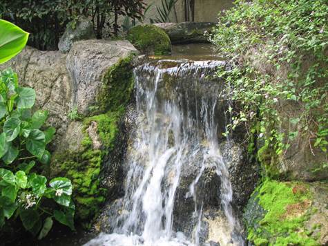 1704017543168_w475h356