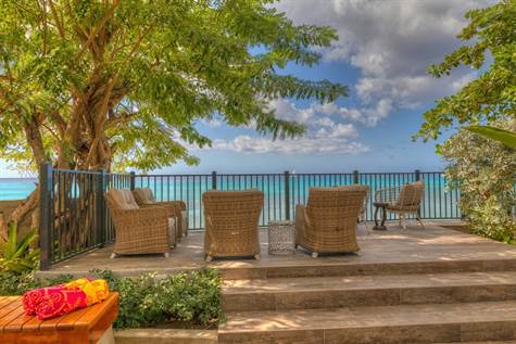 1704022325850_w475h356