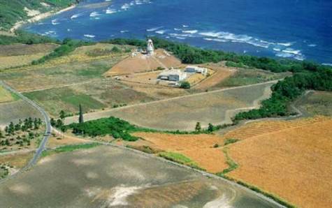 1704023425088_w475h356