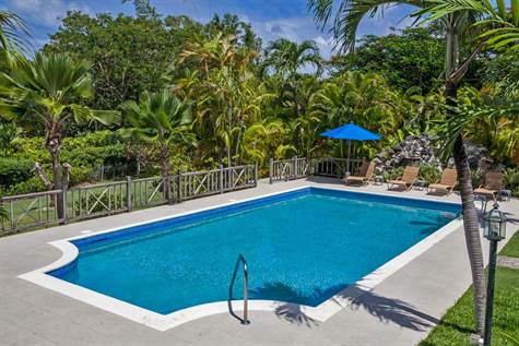 1704023534565_w475h356