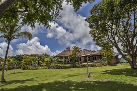 1704023534569_w475h356